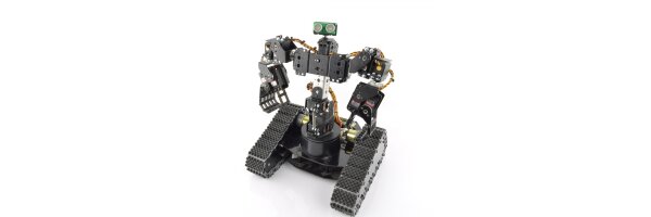 Robot rover e cingolati