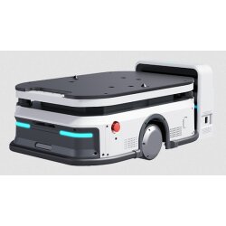 SLAMTEC Phoebus P350 P4M21 (w/o lifting)