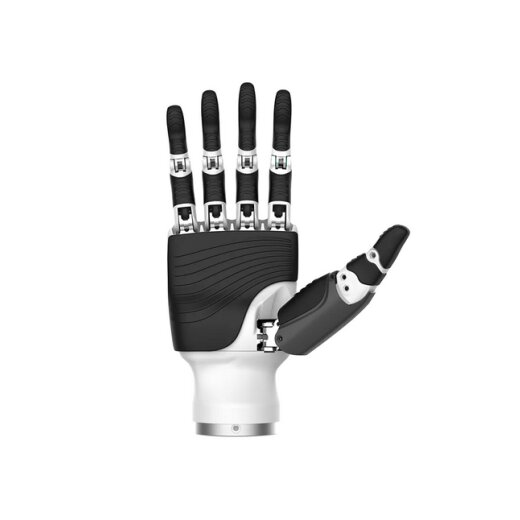 Inspire Robots Dexterous Robotic Hand