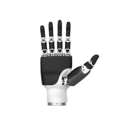 Inspire Robots Dexterous Robotic Hand