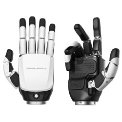 Inspire Robots Dexterous Robotic Hand