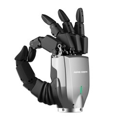 Inspire Robots Dexterous Hand RH5DG2