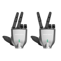 Inspire Robots Dexterous Hand RH5DG2