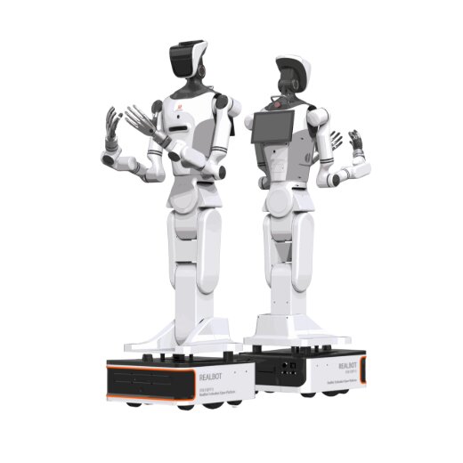 Realman RealBot