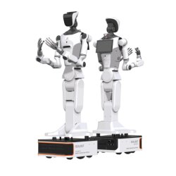 Realman RealBot